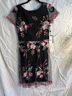 Adrianna Papell Black Dress with Floral Embroidery